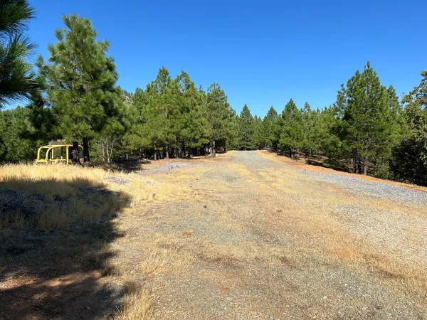 a view of a yard with a tree