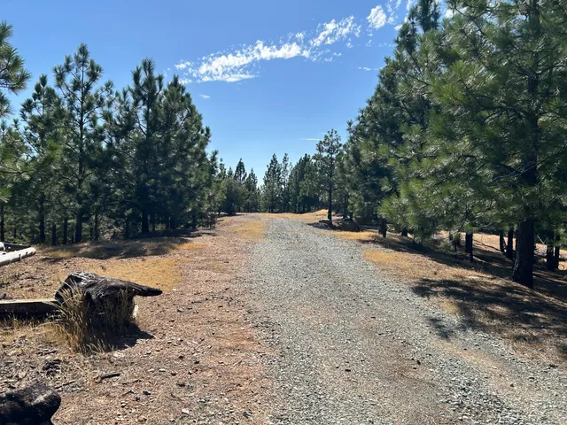 $299,000 | 0 Sheep Ranch Road, Murphys, CA 95247