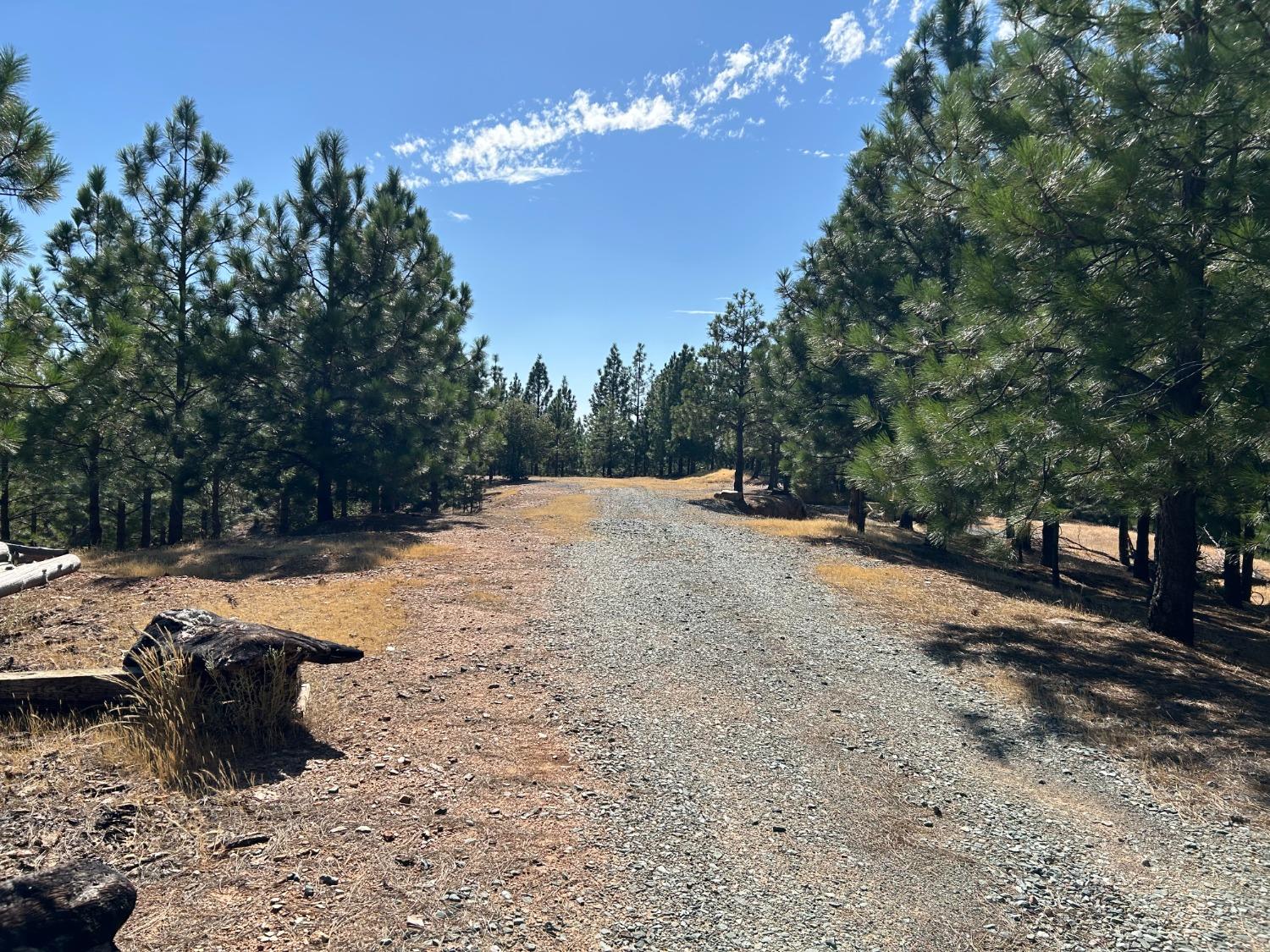 0 Sheep Ranch Road Murphys, CA 95247 - Photo 42 of 51