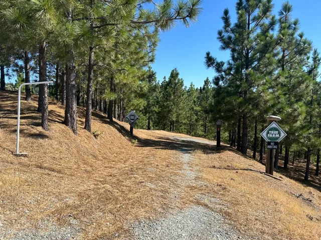 $299,000 | 0 Sheep Ranch Road, Murphys, CA 95247
