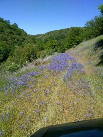 $299,000 | 0 Sheep Ranch Road, Murphys, CA 95247