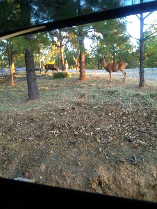 0 Sheep Ranch Road Murphys, CA 95247 - Photo 49 of 51