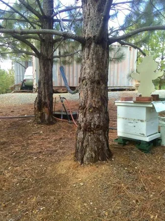 $299,000 | 0 Sheep Ranch Road, Murphys, CA 95247