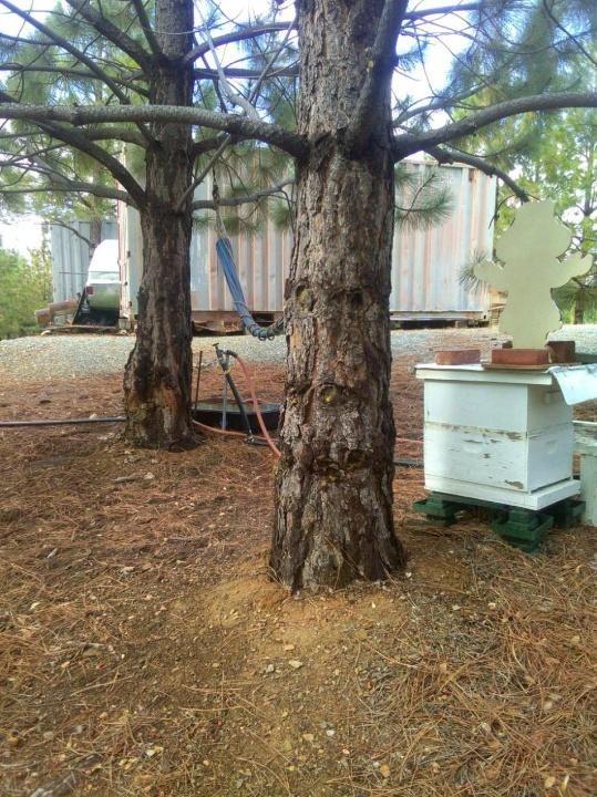 0 Sheep Ranch Road Murphys, CA 95247 - Photo 50 of 51