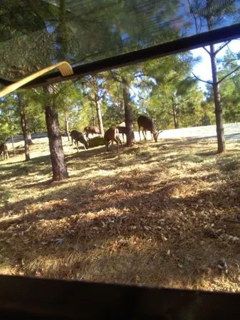 $299,000 | 0 Sheep Ranch Road, Murphys, CA 95247