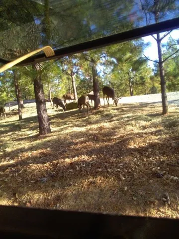 $299,000 | 0 Sheep Ranch Road, Murphys, CA 95247