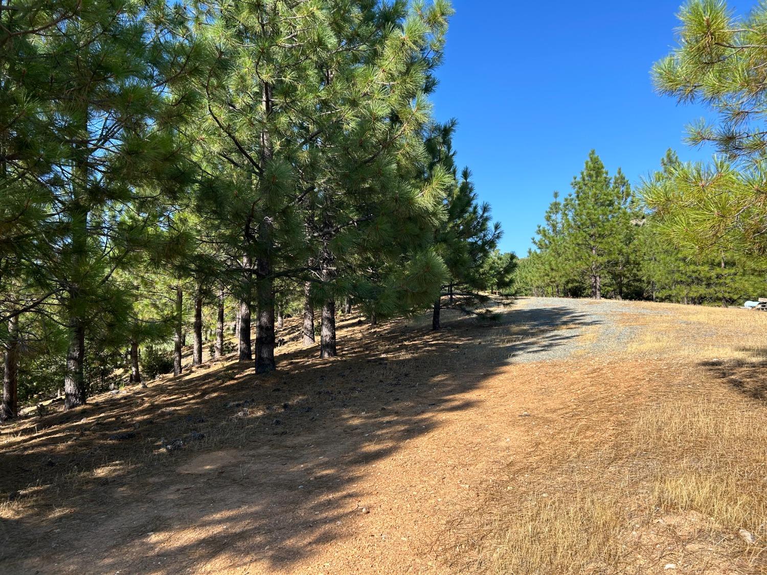 0 Sheep Ranch Road Murphys, CA 95247 - Photo 6 of 51