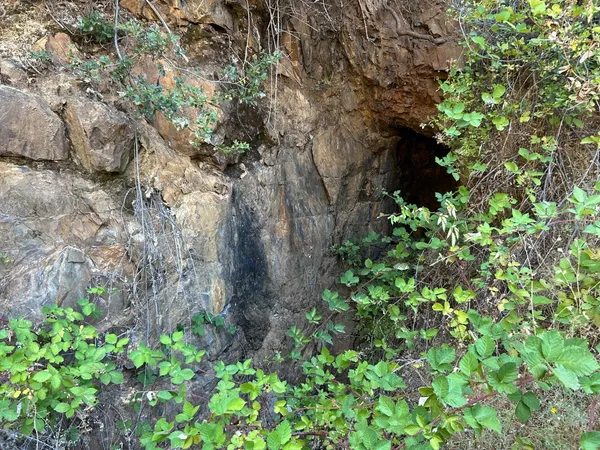 a backyard of a house with lots of green space and a fountain