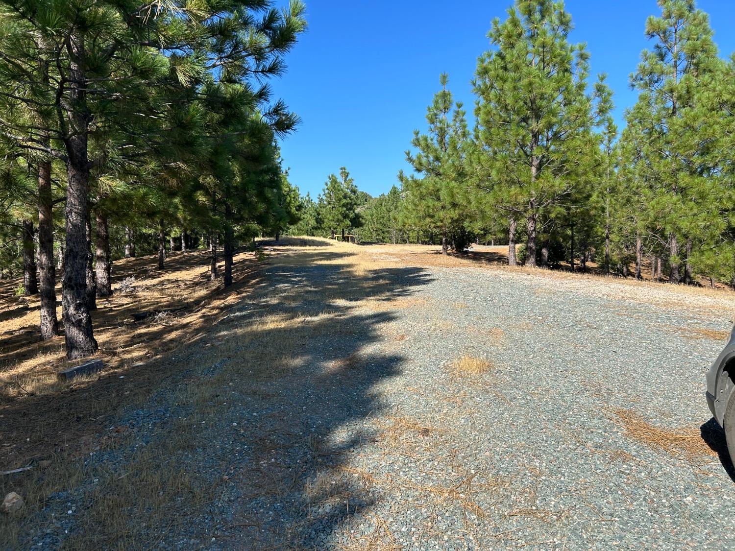 0 Sheep Ranch Road Murphys, CA 95247 - Photo 9 of 51