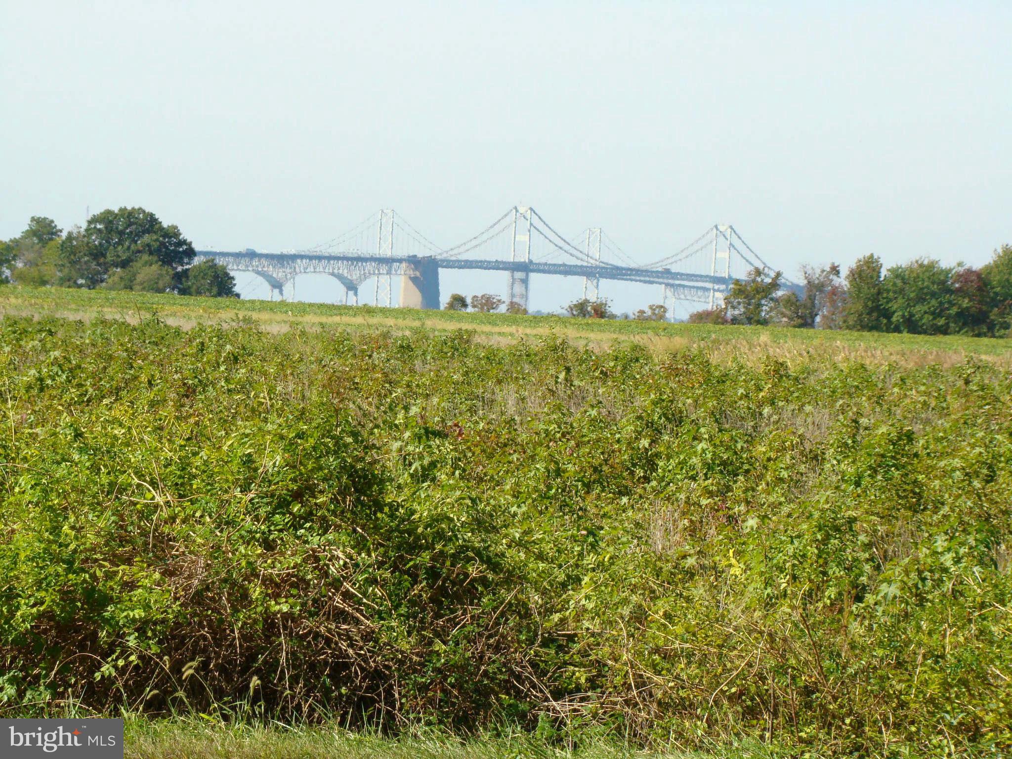 1102 Love Point Road Stevensville, MD 21666 - Photo 16 of 21 View