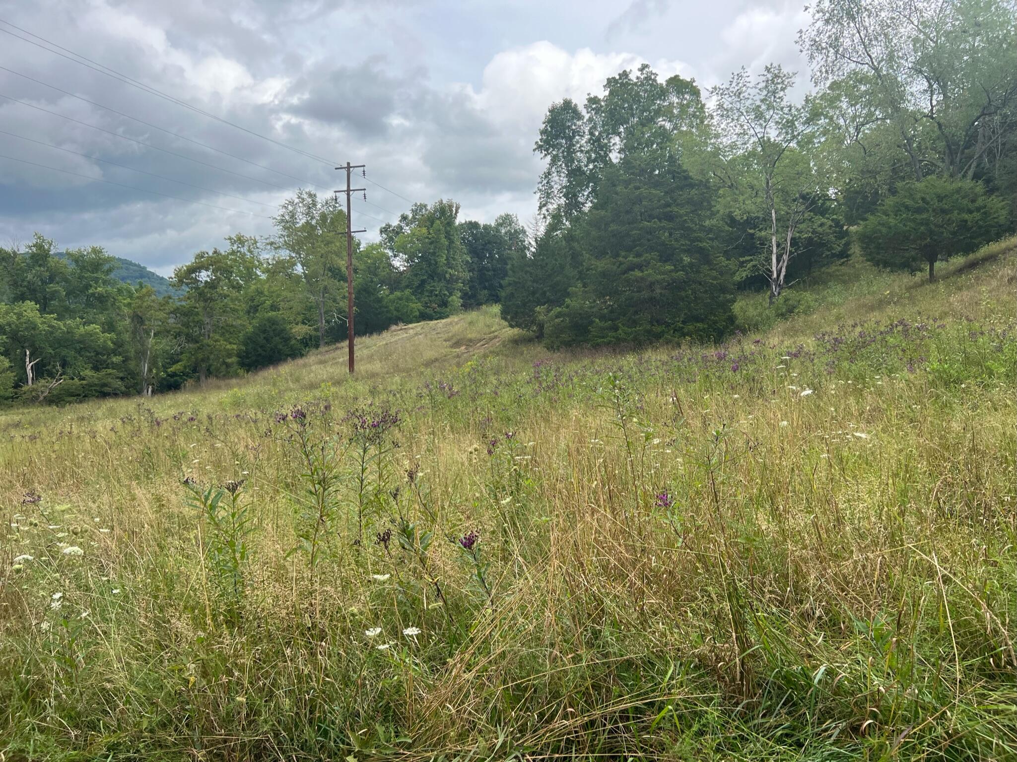 Wayside Creamery Road Pence Springs, WV 24962 - Photo 22 of 28 Gallery Image 22