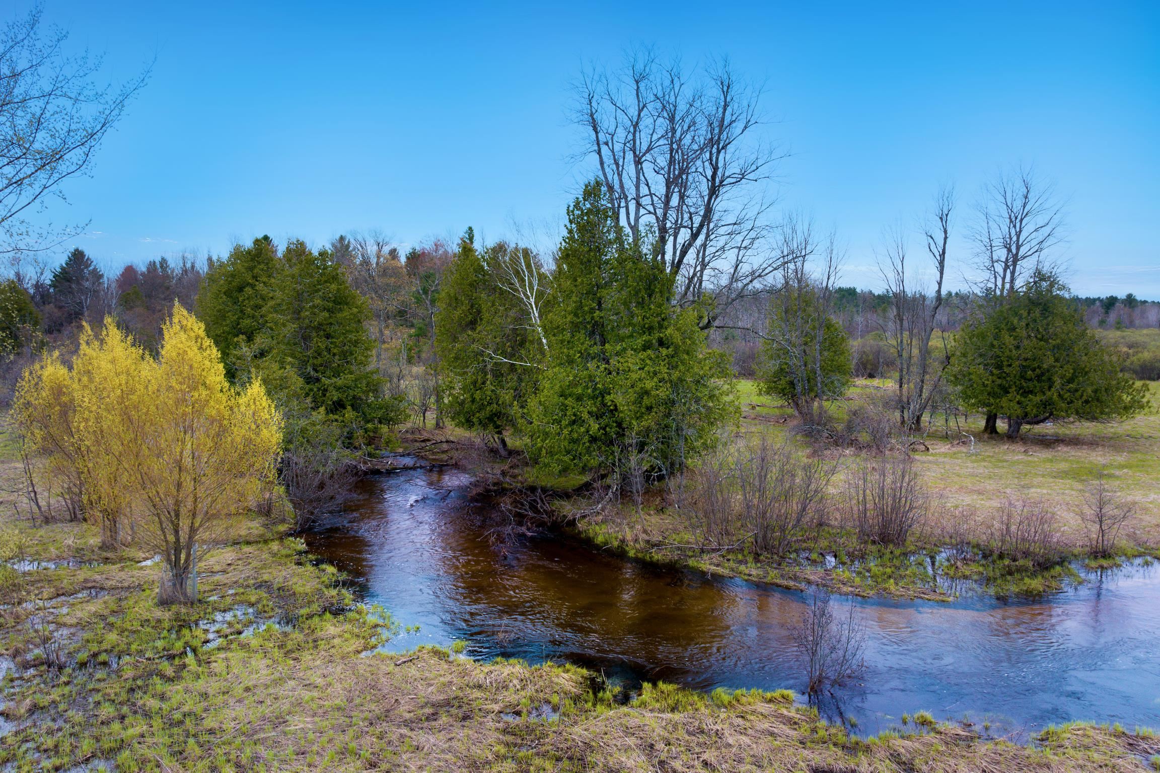 7578 South River Road Kalkaska, MI 49646 - Photo 3 of 32