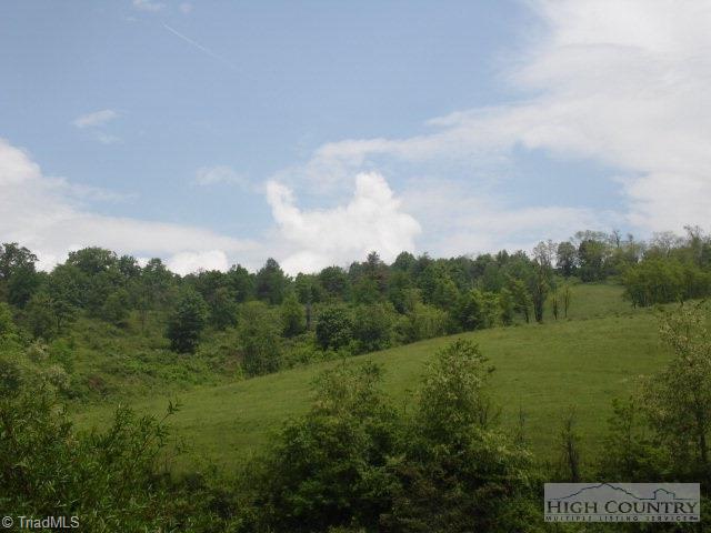 1674 Roberts Road Laurel Springs, NC 28644 - Photo 4 of 26 Gallery Image 4