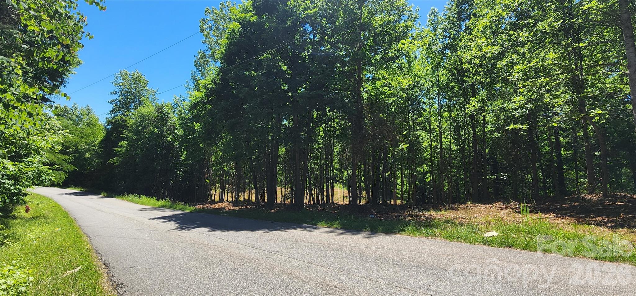 480 Brown Road Spartanburg, SC 29302 - Photo 28 of 47 a view of a street with trees on both side of it