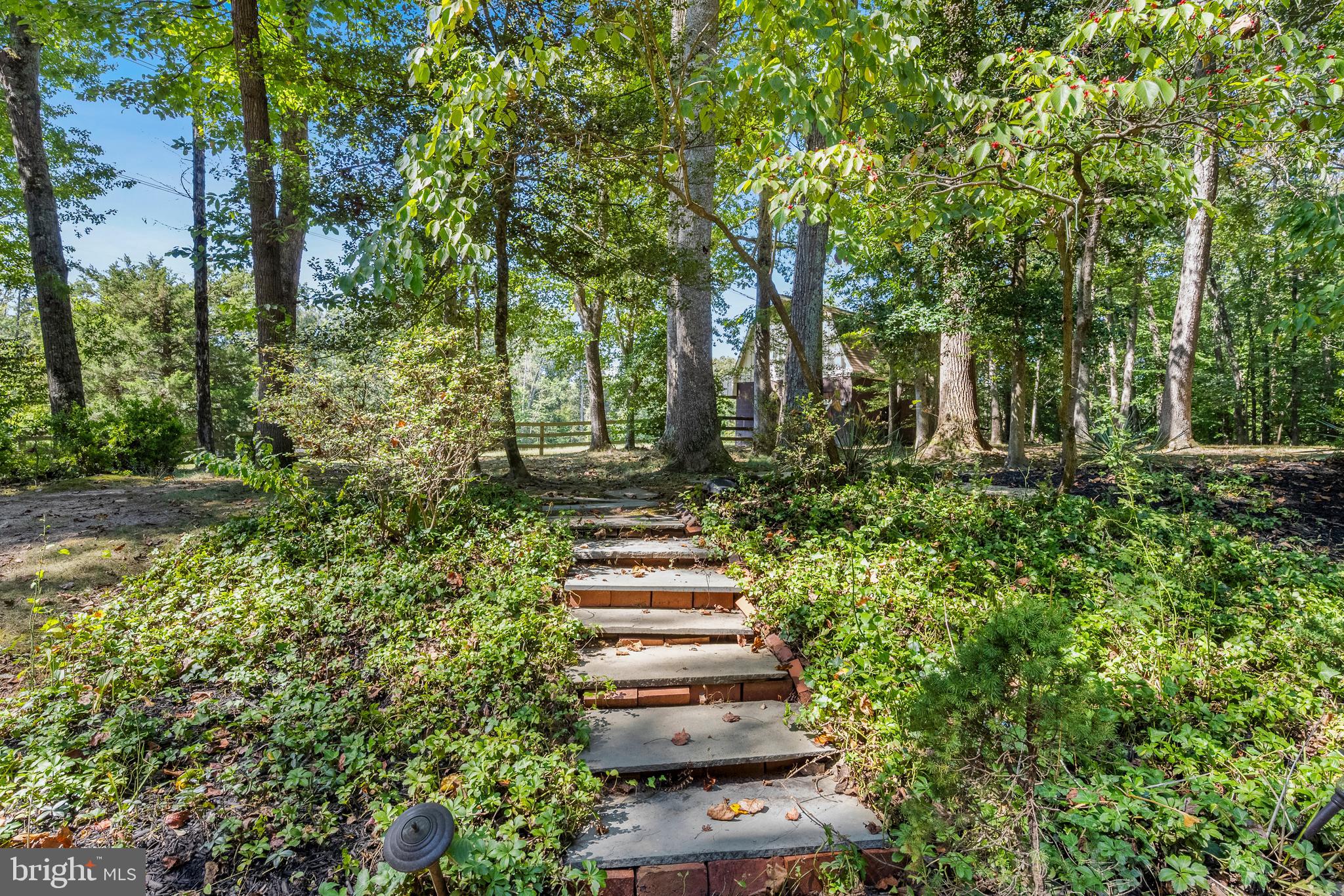 7408 Maple Branch Road Clifton, VA 20124 - Photo 60 of 93 steps to more wonderment!!