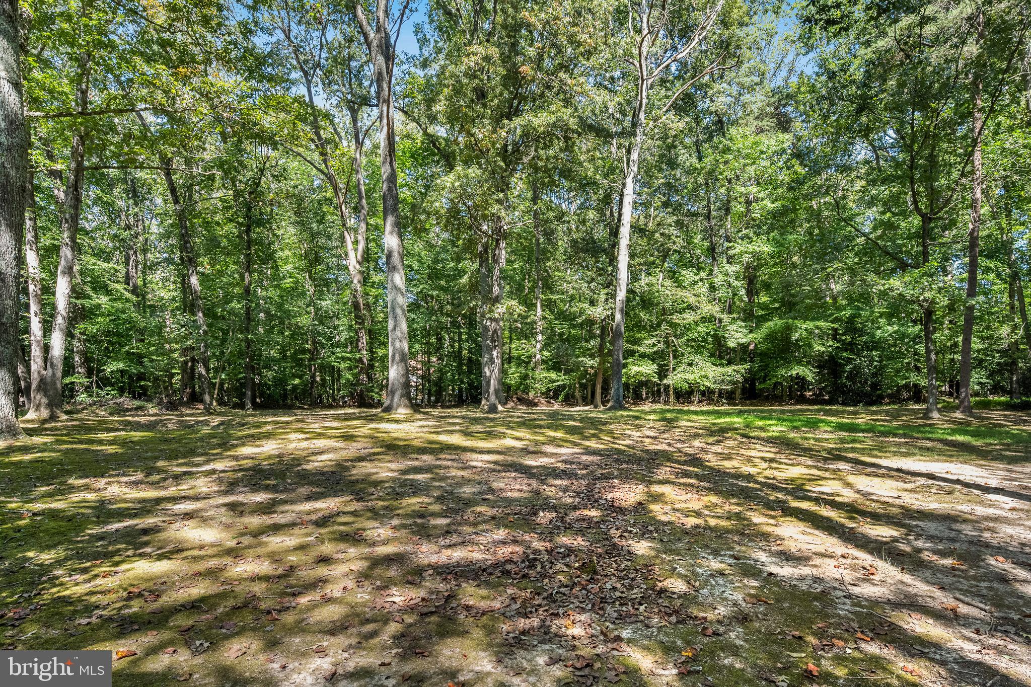 7408 Maple Branch Road Clifton, VA 20124 - Photo 64 of 93 level and waiting for games, sports, and animals