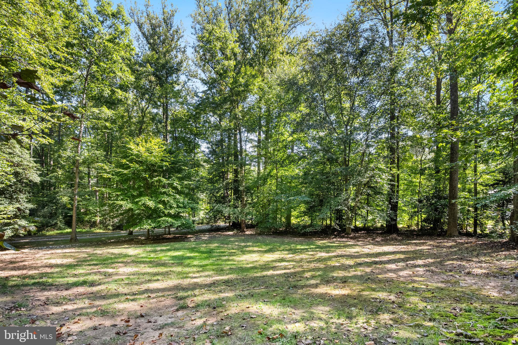 7408 Maple Branch Road Clifton, VA 20124 - Photo 66 of 93 gorgeous plateau adjacent to barn
