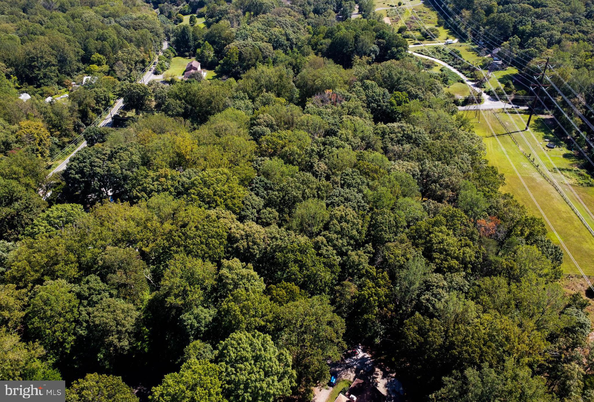 7408 Maple Branch Road Clifton, VA 20124 - Photo 79 of 93 aerial from rear of lot