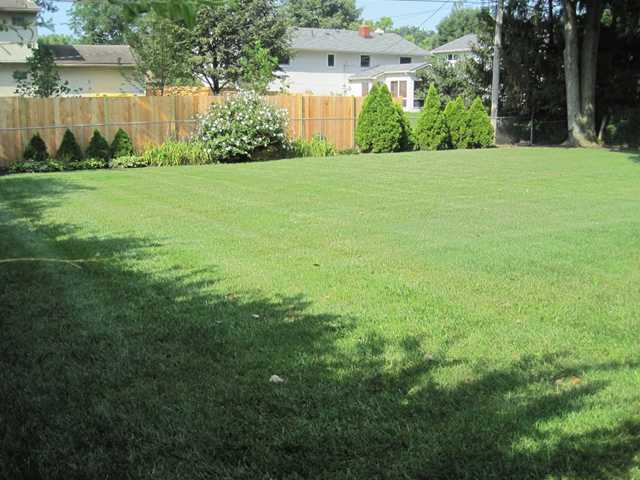 1733 Birchcrest Road Columbus, OH 43221 - Photo 16 of 18
