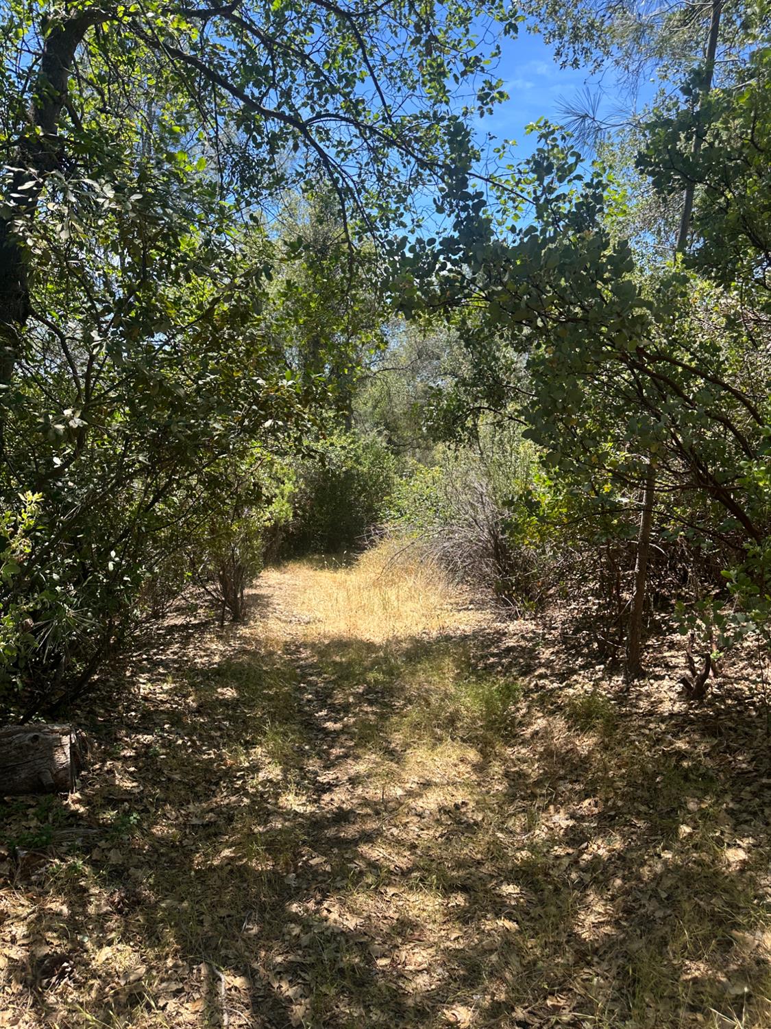 0 Bowman Road Pine Grove, CA 95665 - Photo 5 of 30