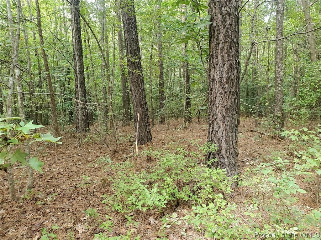 0 Wilkes Road Lanexa, VA 23089 - Photo 9 of 24 Gallery Image 9