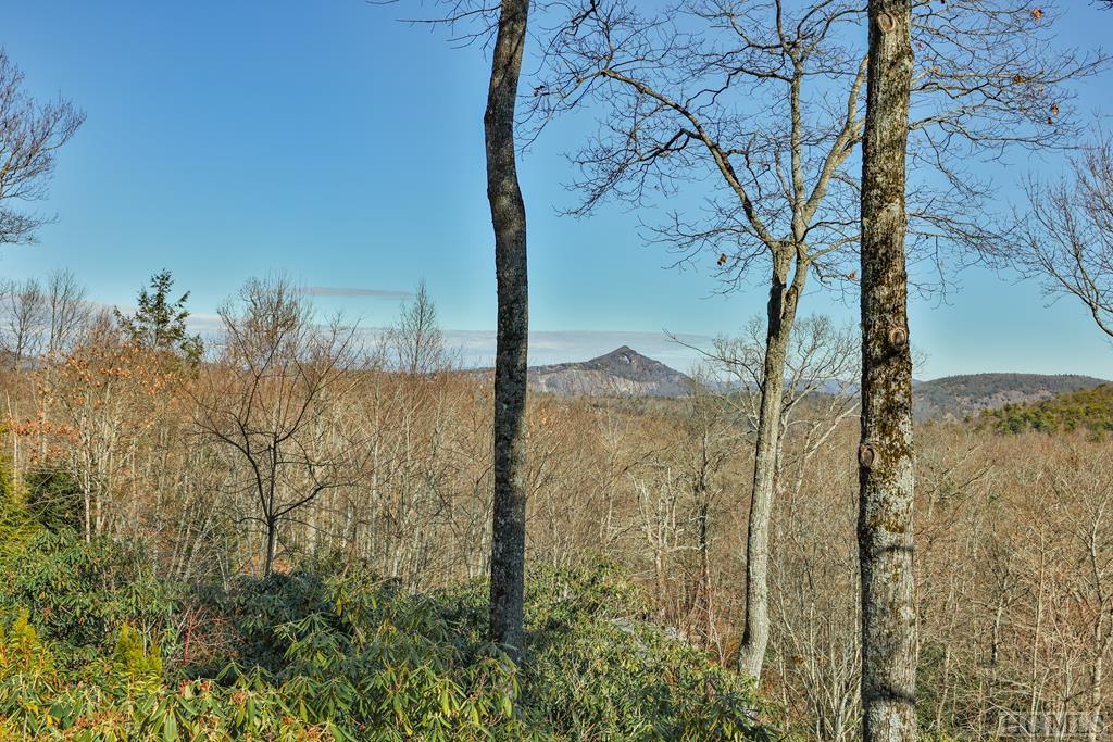 320 Little Creek Road Highlands, NC 28741 - Photo 60 of 74 Gallery Image 60