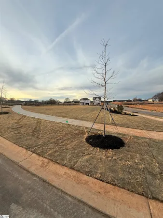 $333,162 | 1 Golden Aster Drive, Simpsonville, SC 29681