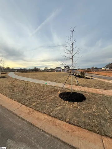 $331,297 | 1 Golden Aster Drive, Simpsonville, SC 29681