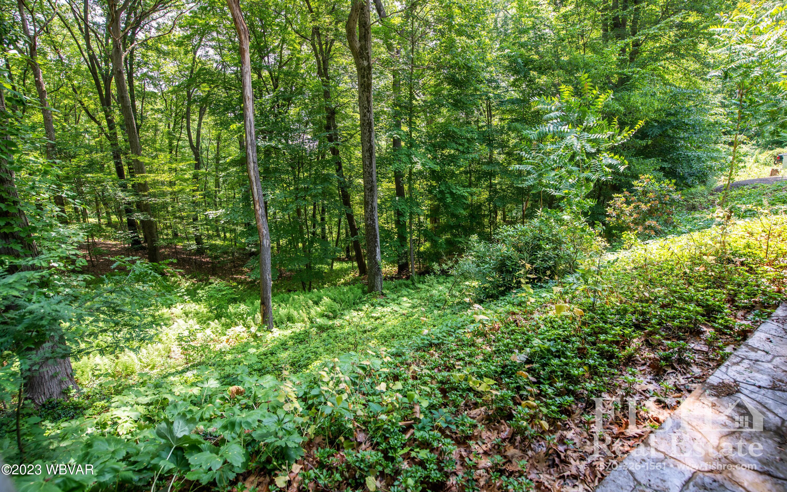 570 Sand Hill Road Montoursville, PA 17754 - Photo 36 of 42 Gallery Image 36