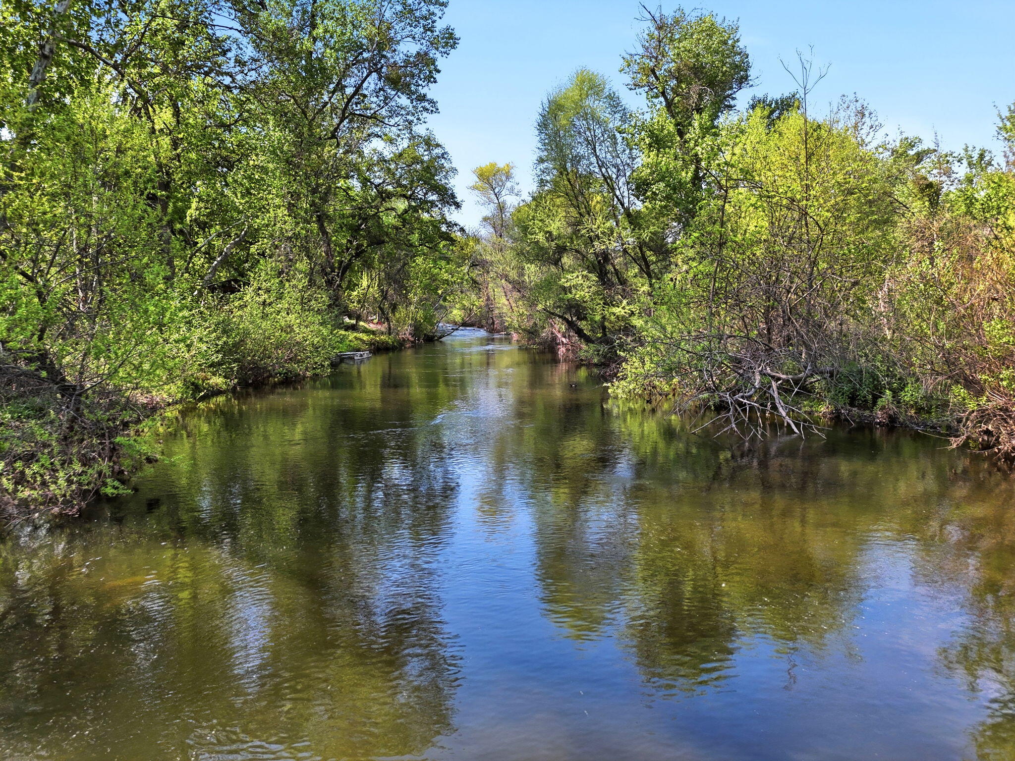 Three North Kaweah River Drive Three Rivers, CA 93271 - Photo 17 of 22 5-42490_N_Kaweah_River_Dr_004