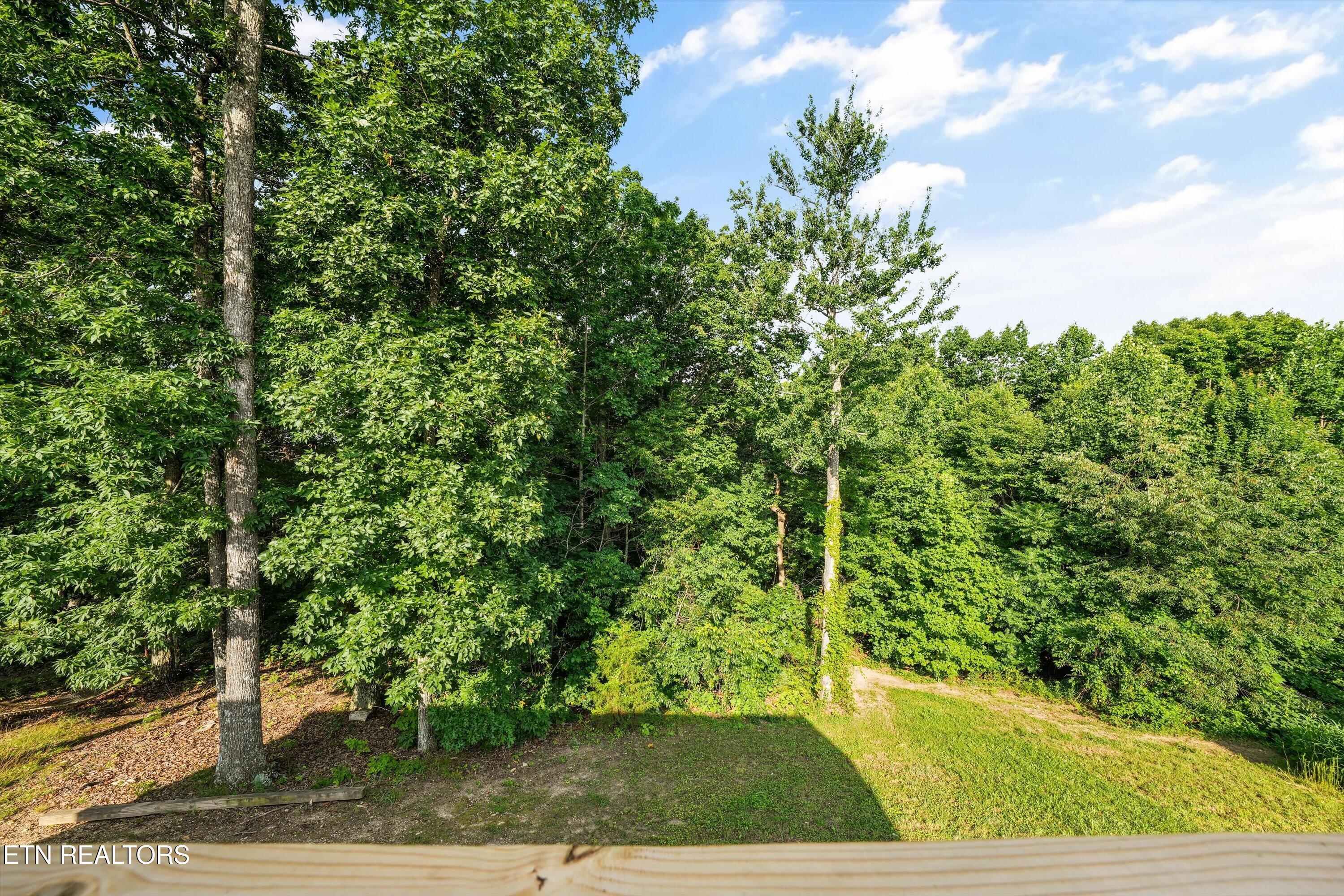 834 Walker Road Sharps Chapel, TN 37866 - Photo 34 of 44 23-834 Walker Rd33