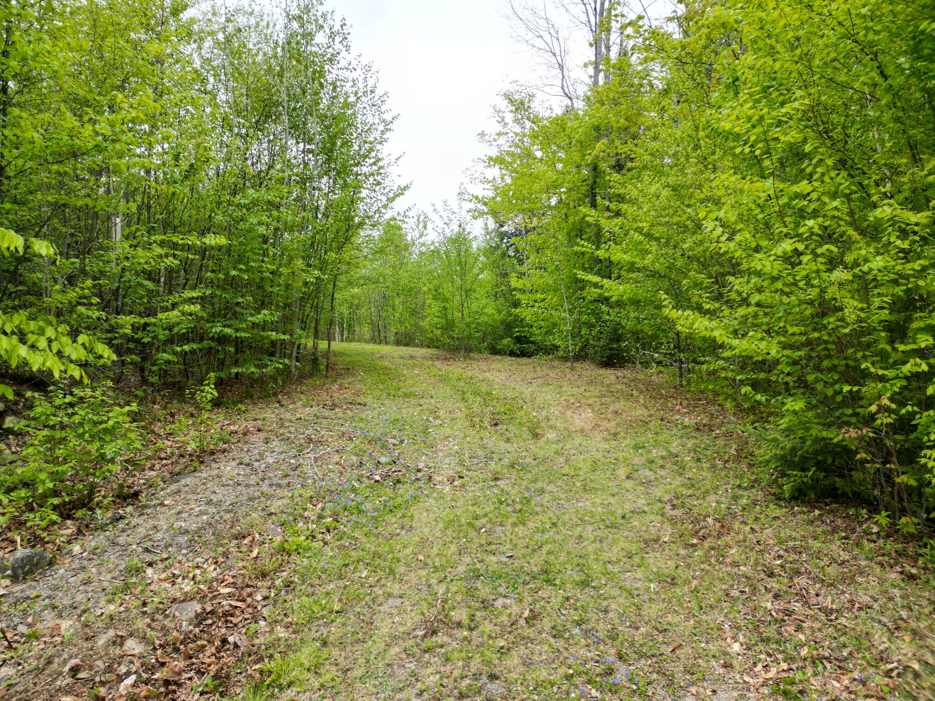 Lot 8-2 Dill Valley Road Lakeville, ME 04487 - Photo 4 of 21 DJI_0913