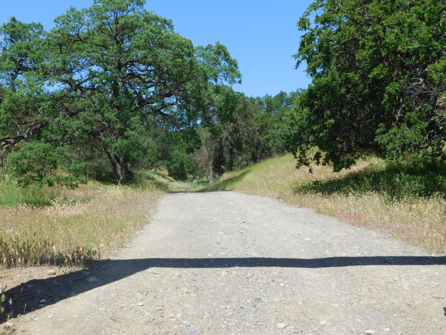 20334 Panoche Road Paicines, CA 95043 - Photo 17 of 44 Gallery Image 17