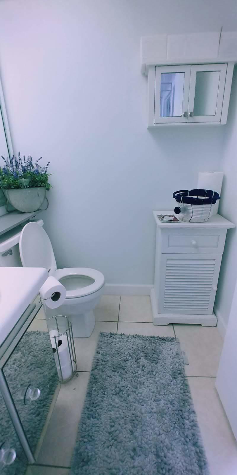 95 Monaco Boulevard, Unit B Delray Beach, FL 33446 - Photo 24 of 46 a bathroom with a sink a toilet and a mirror