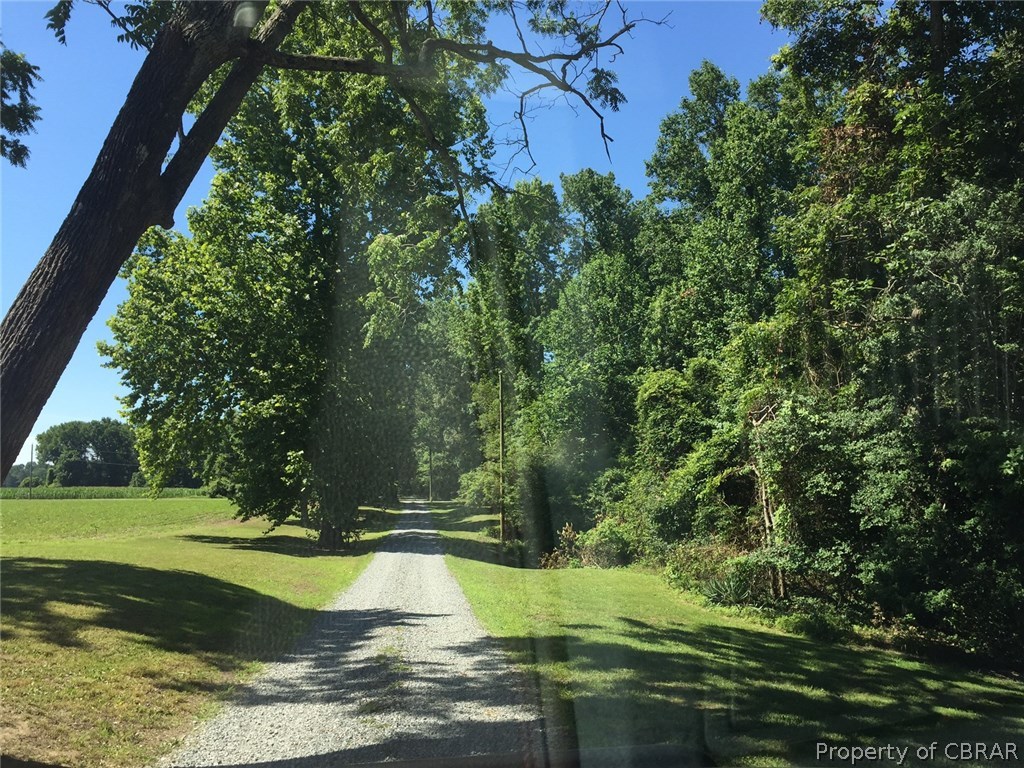 Drive heading to home on BLUE BARN ROAD, how pastoral is this drive