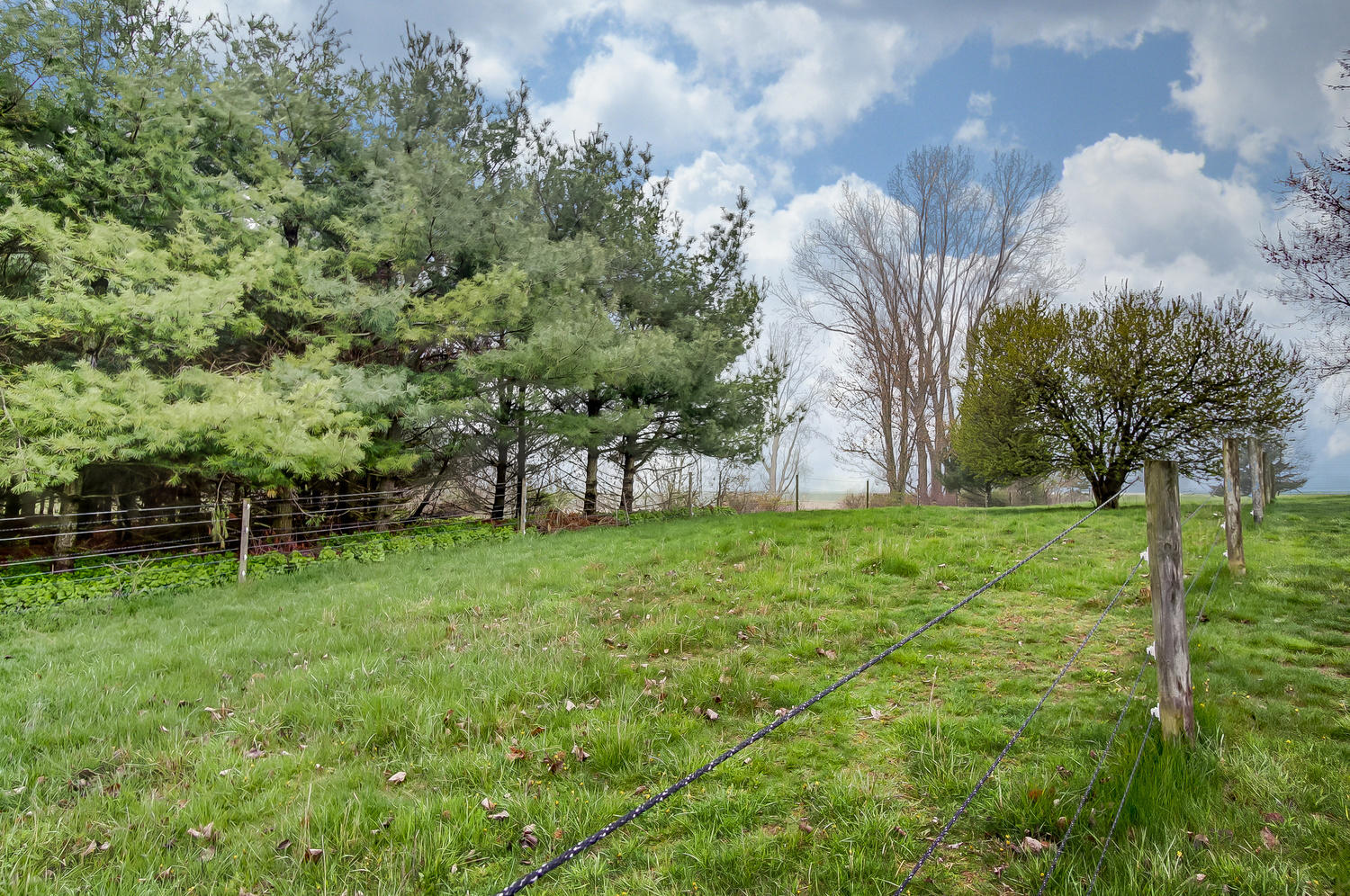3773 Sink Hole Road West Liberty, OH 43357 - Photo 49 of 57
