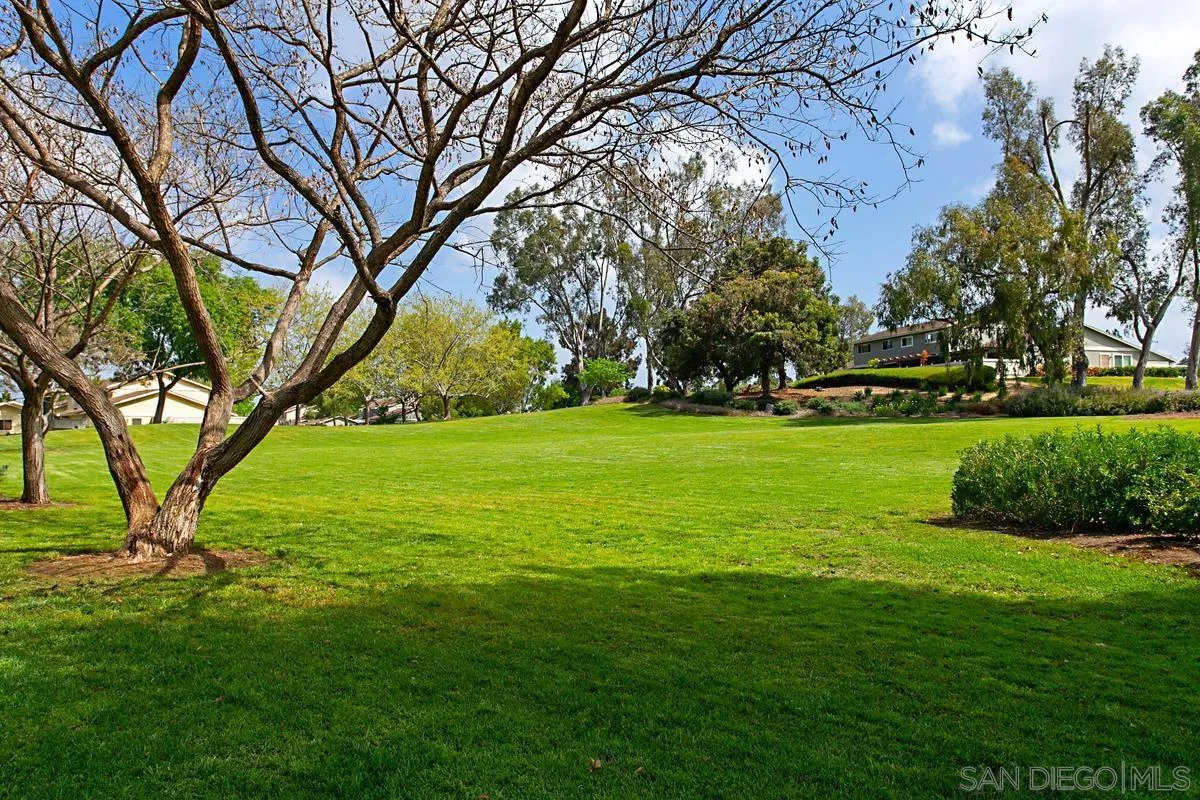 574 Gardendale Road Encinitas, CA 92024 - Photo 47 of 53 a view of a trees with a big yard