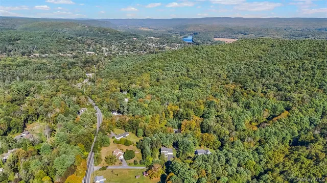 a view of a big yard with lots of bushes