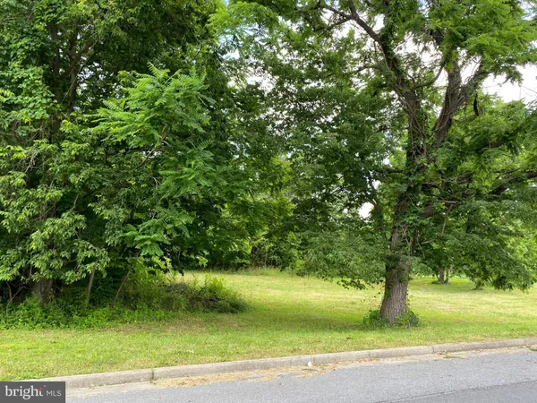 a view of a yard