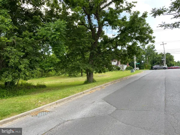 a view of a park with large trees
