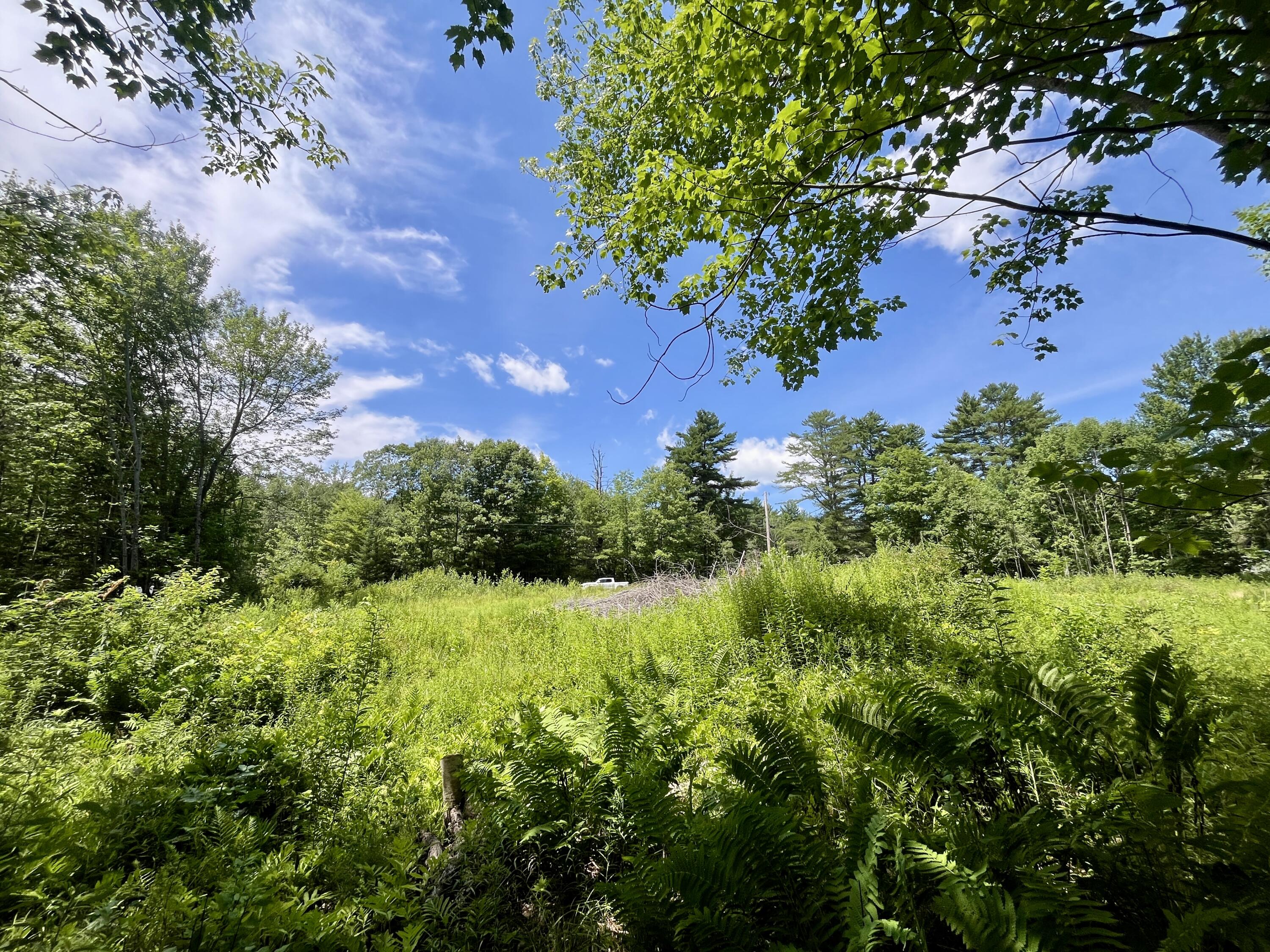 0 Plummer Road Richmond, ME 04357 - Photo 2 of 15 IMG_9206