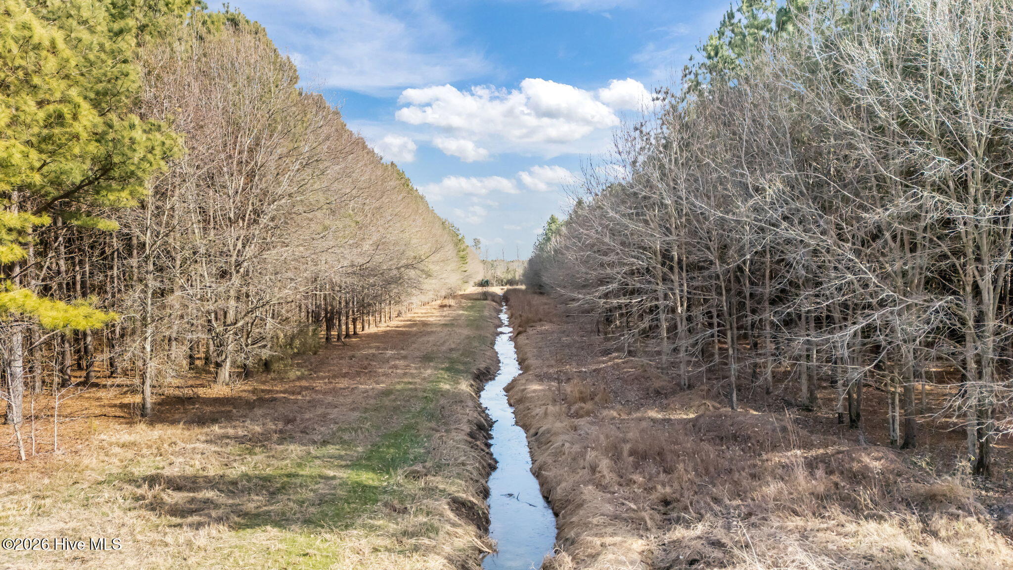 0 Grifton Hugo Road Grifton, NC 28530 - Photo 1 of 14 View of stream