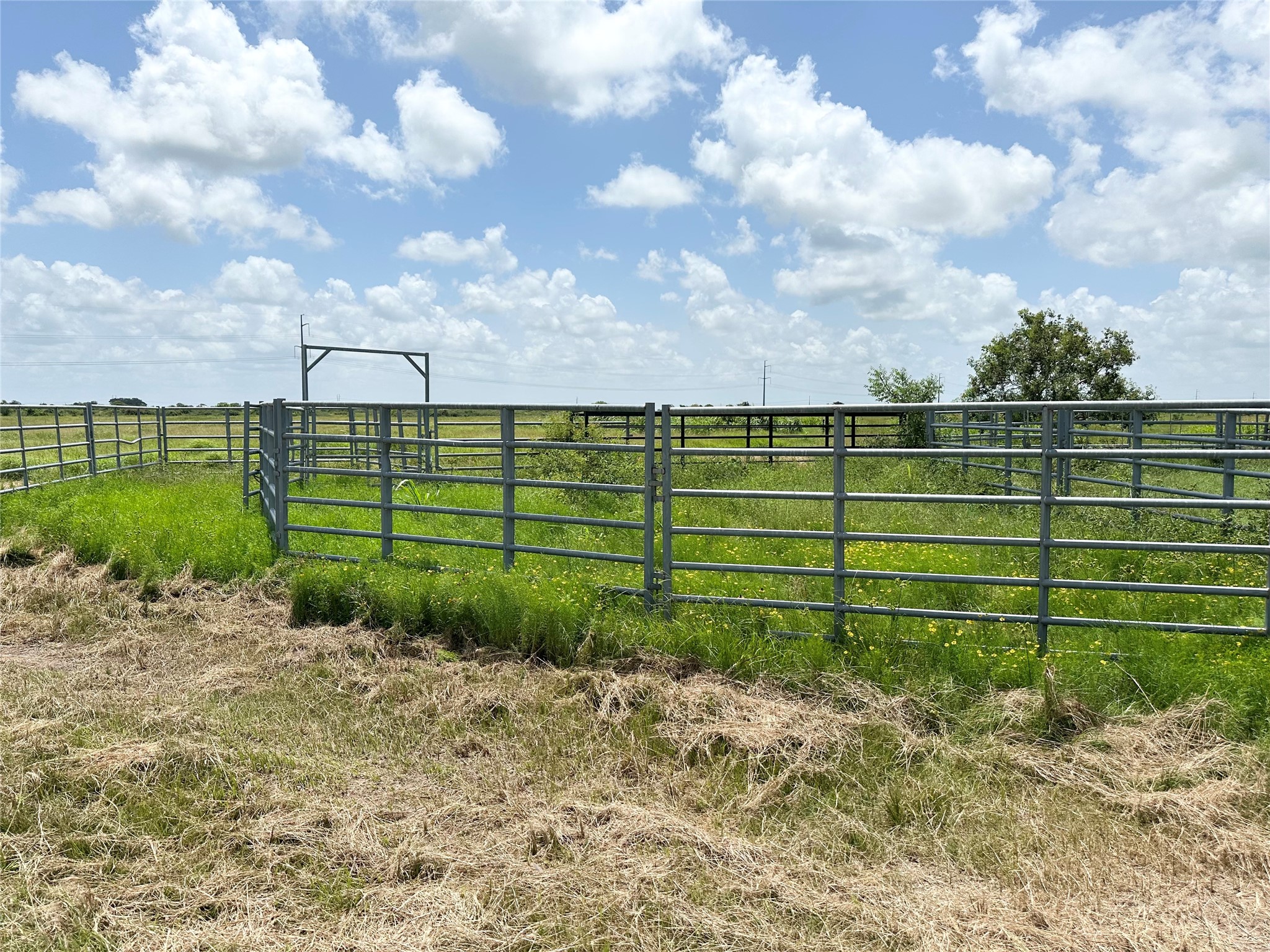 775 South FM 441 Road Louise, TX 77455 - Photo 9 of 14