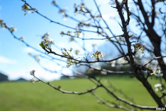 $280,000 | 14-lots North 243rd Avenue, Pittsfield, IL 62363