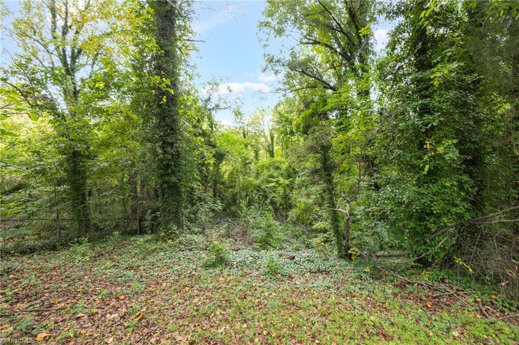 905 Mint Avenue High Point, NC 27260 - Photo 27 of 31