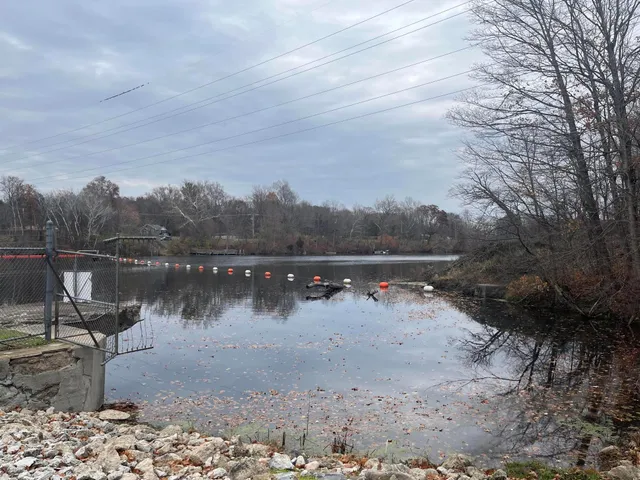 $445,000 | 426 Elizabeth Street, Buchanan, MI 49107