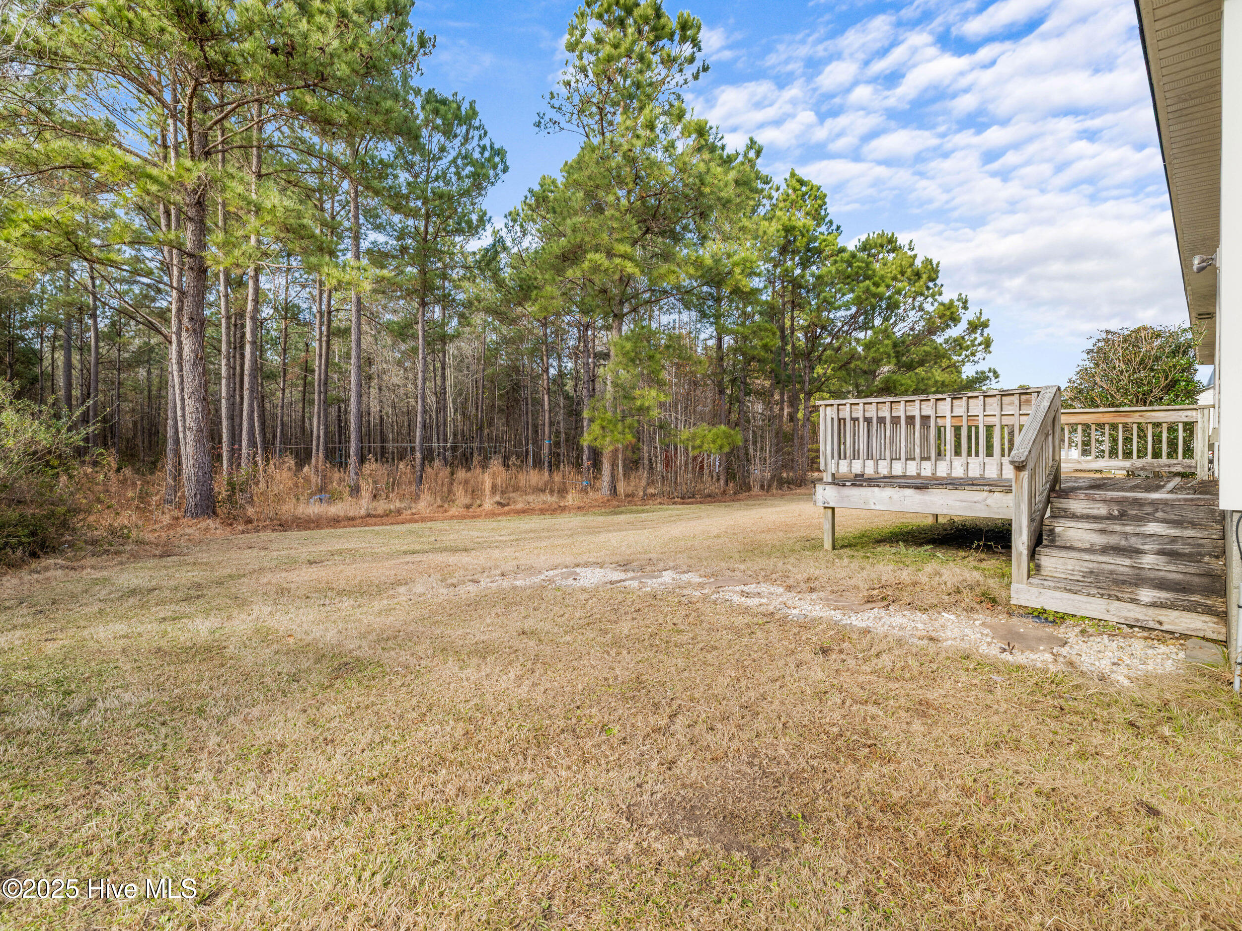 186 Liberty Park Road Jacksonville, NC 28540 - Photo 36 of 47 025a3544