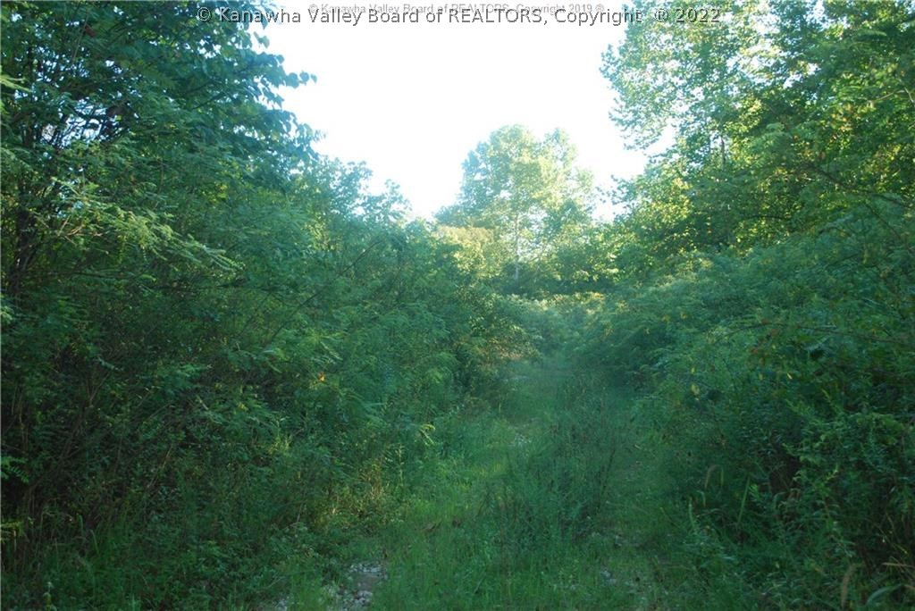0 Route 2 Point North Point Pleasant, WV 25550 - Photo 10 of 10 Gallery Image 10