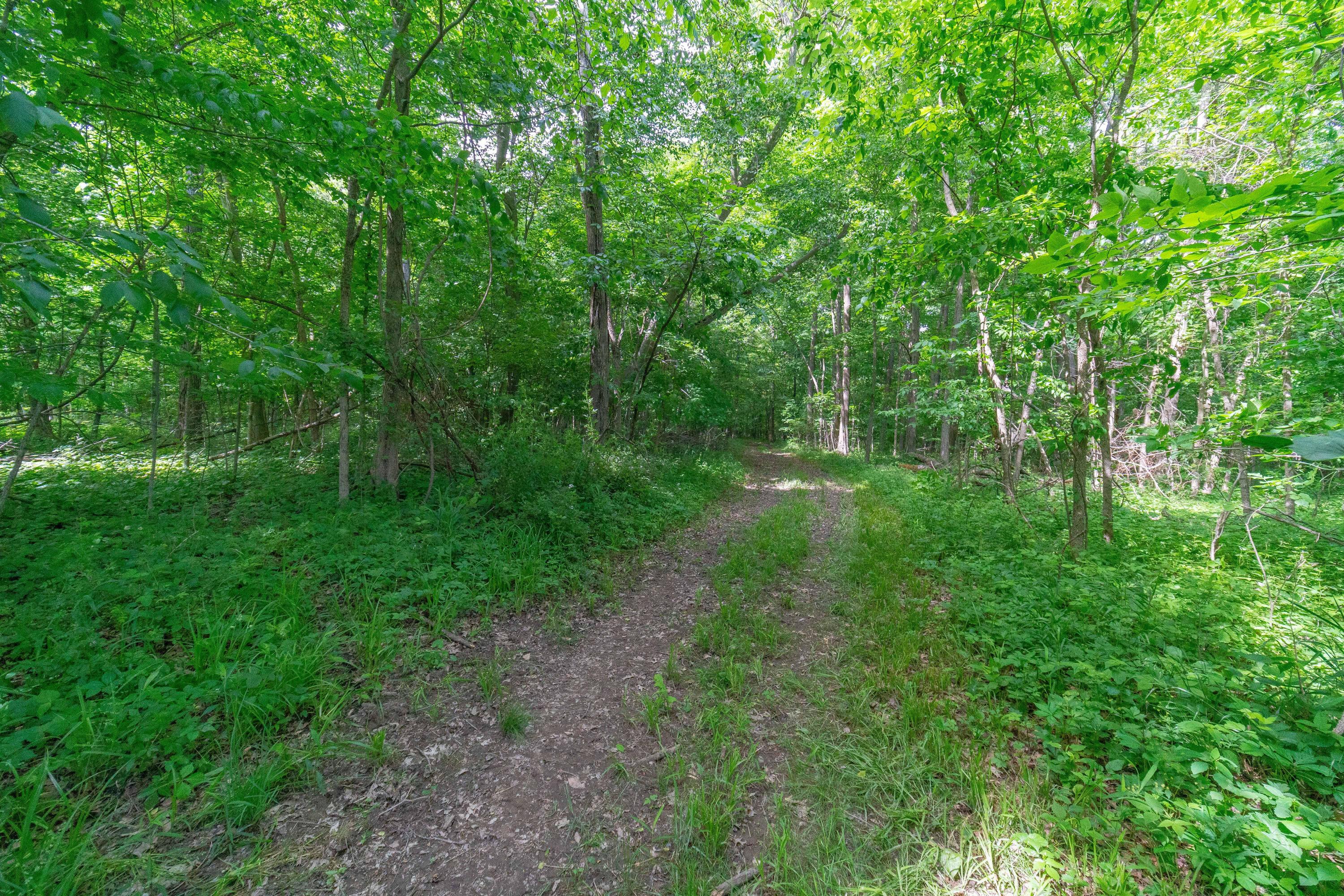 9680 Fontanelle Road Ostrander, OH 43061 - Photo 71 of 78 Gallery Image 71