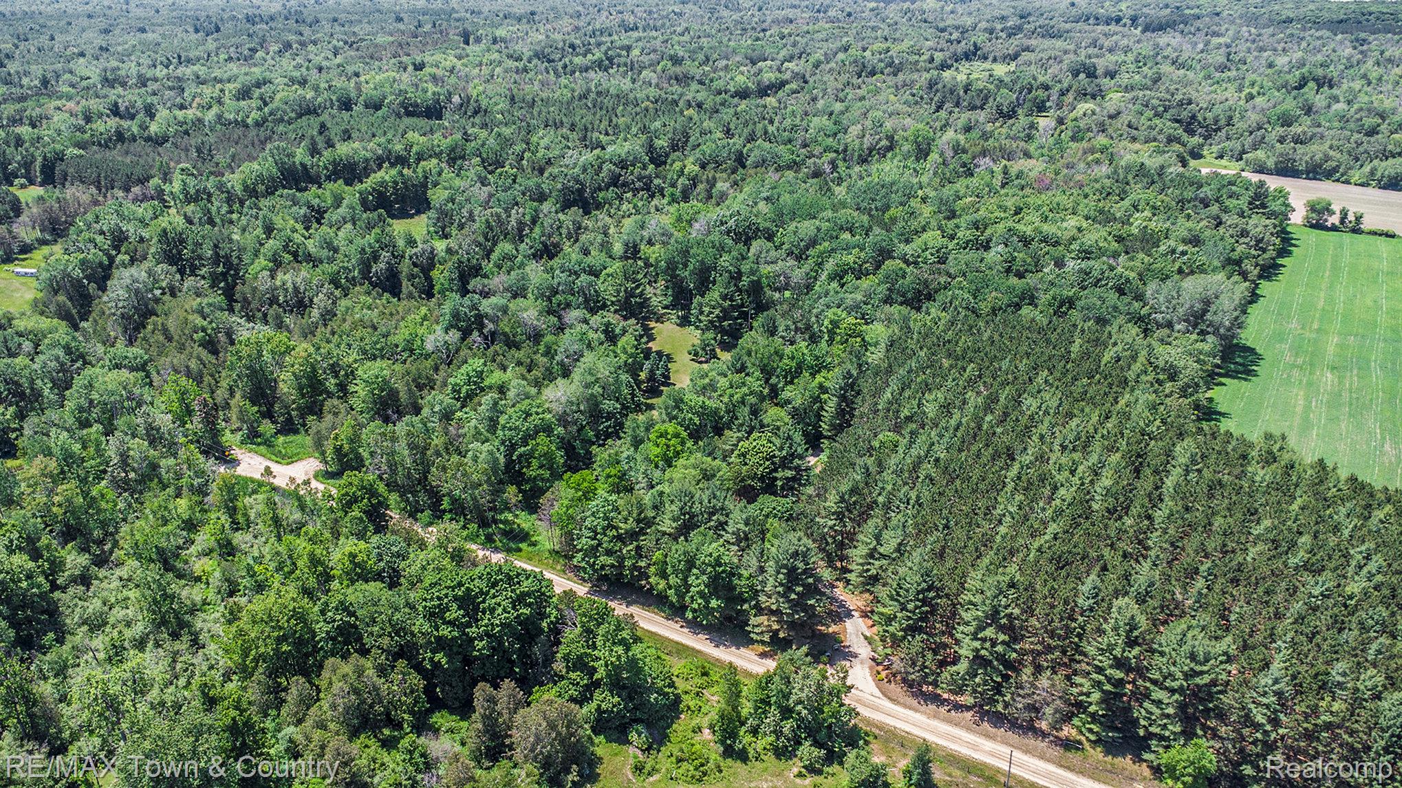 1293 Bellinger Road Gladwin, MI 48624 - Photo 24 of 27 Expansive wooded acreage featuring a mix of mature deciduous and evergreen trees, a well-defined dirt road, and bordering agricultural fields